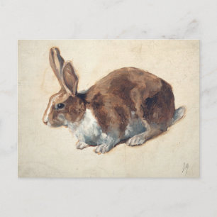 Rabbit   Floris Verster Postcard