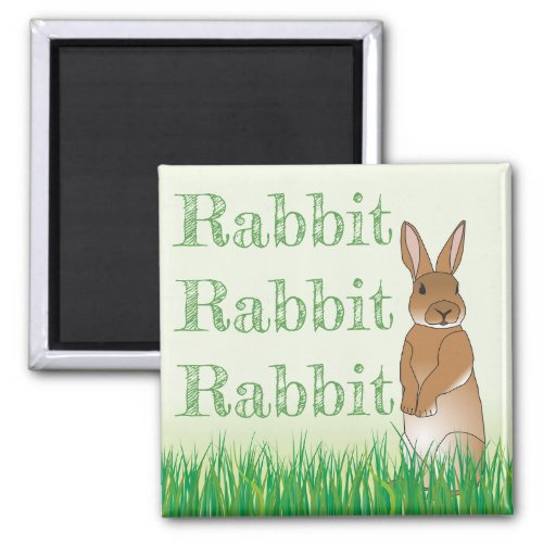 Rabbit Fridge Reminder Bunny Green Grass Luck Magnet