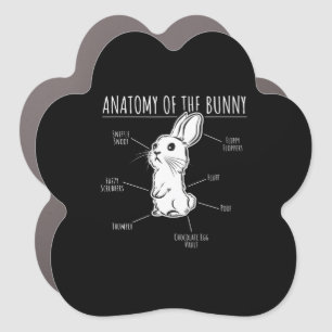 Rabbit Gift Anatomy Of Bunny Cute Rabbit Pet Love Car Magnet