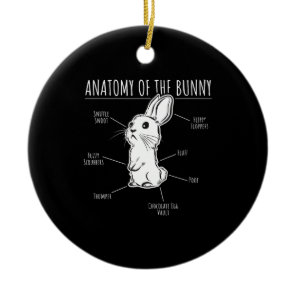 Rabbit Gift |Anatomy Of Bunny Cute Rabbit Pet Love Ceramic Ornament