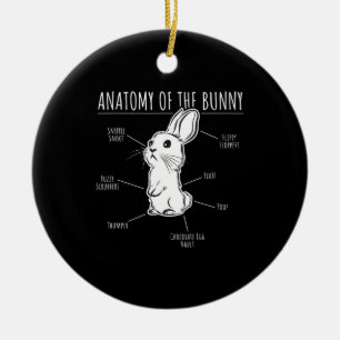 Rabbit Gift  Anatomy Of Bunny Cute Rabbit Pet Love Ceramic Ornament