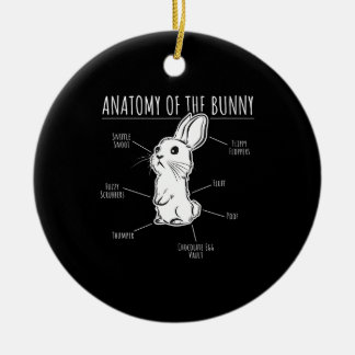 Rabbit Gift |Anatomy Of Bunny Cute Rabbit Pet Love Ceramic Ornament