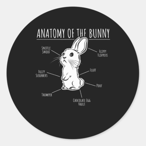 Rabbit Gift Anatomy Of Bunny Cute Rabbit Pet Love Classic Round Sticker