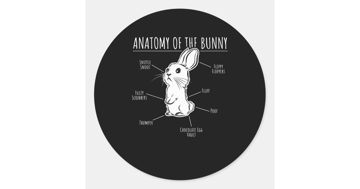 Rabbit Gift Anatomy Of Bunny Cute Rabbit Pet Love Classic Round