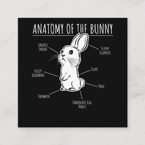 Rabbit Gift Anatomy Of Bunny Cute Rabbit Pet Love Square Business Card