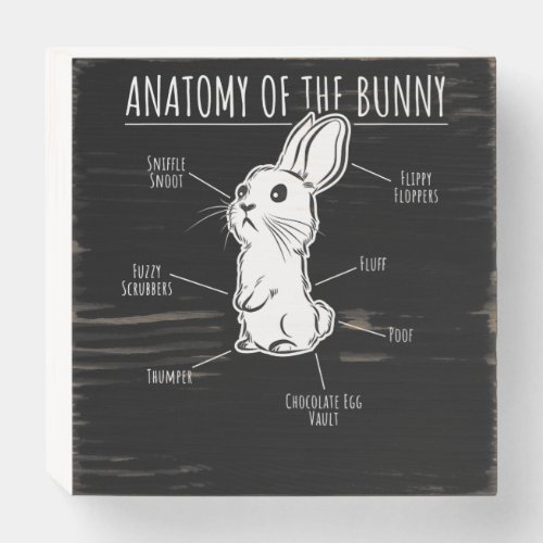 Rabbit Gift Anatomy Of Bunny Cute Rabbit Pet Love Wooden Box Sign