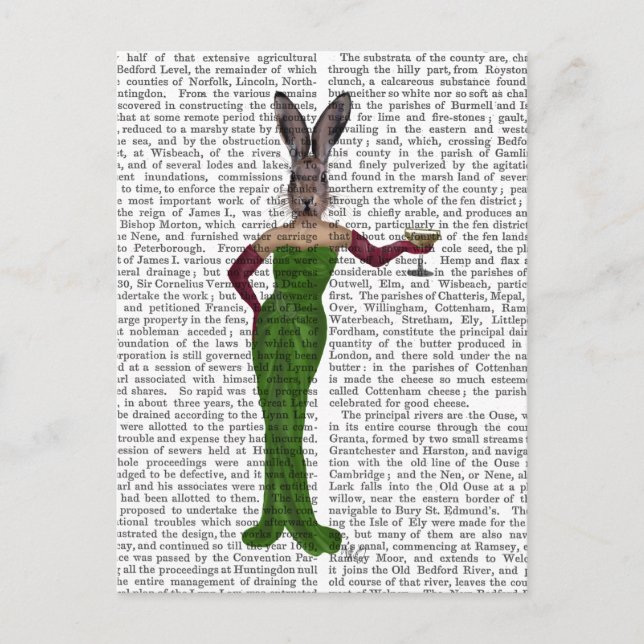 Rabbit Green Dress Postcard (Front)