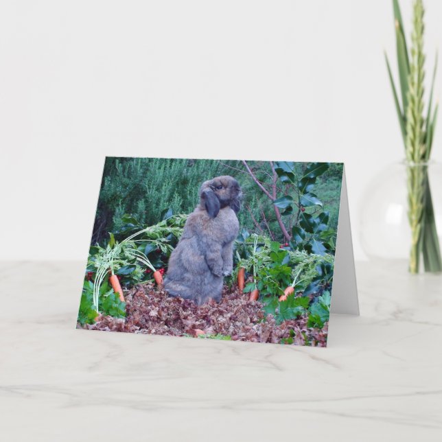 Rabbit Holiday Card (Front)