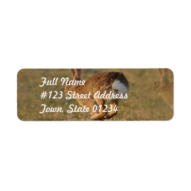 Rabbit Hopping Return Address Mailing Label (Front)