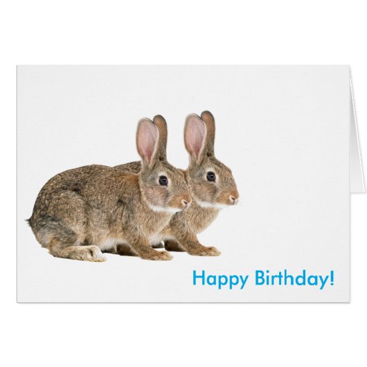 Rabbit image for Birthday greeting Card (Front Horizontal)