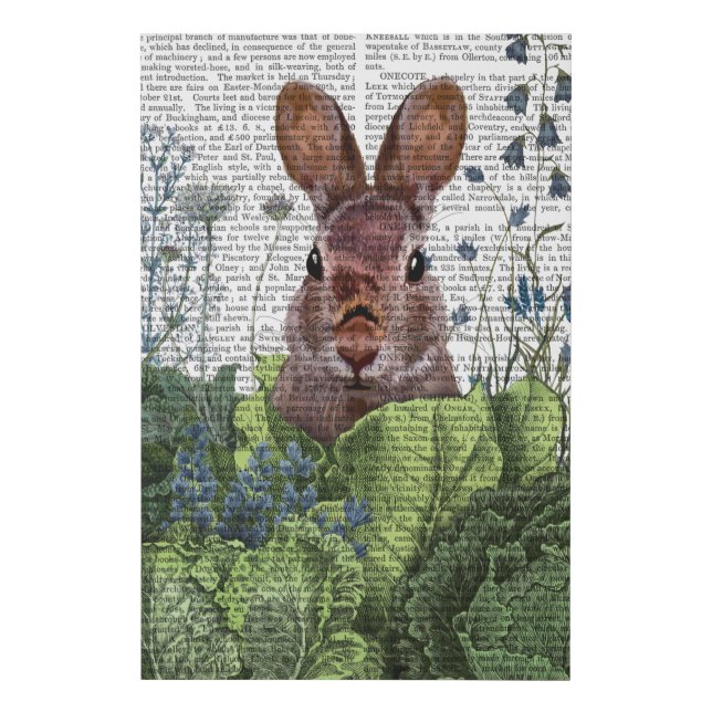 Rabbit in a Cabbage Patch Faux Canvas Print (Front)