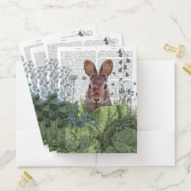 Rabbit in a Cabbage Patch Pocket Folder (In Situ)