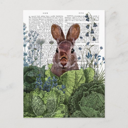 Rabbit in a Cabbage Patch Postcard