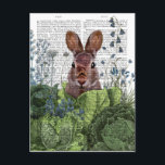 Rabbit in a Cabbage Patch Postcard<br><div class="desc">Cabbage Patch Rabbit 6 by Fab Funky.  | 192180D</div>
