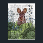Rabbit in a Cabbage Patch Postcard<br><div class="desc">Cabbage Patch Rabbit 6 by Fab Funky.  | 192180D</div>