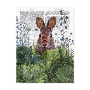 Rabbit in a Cabbage Patch Postcard