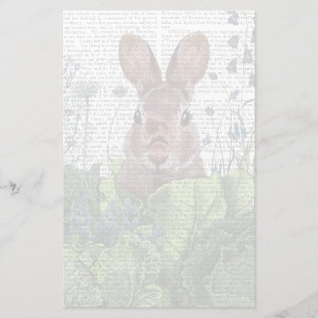 Rabbit in a Cabbage Patch Stationery (Front)