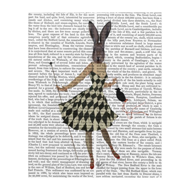 Rabbit in Black White Dress Acrylic Print (Front)
