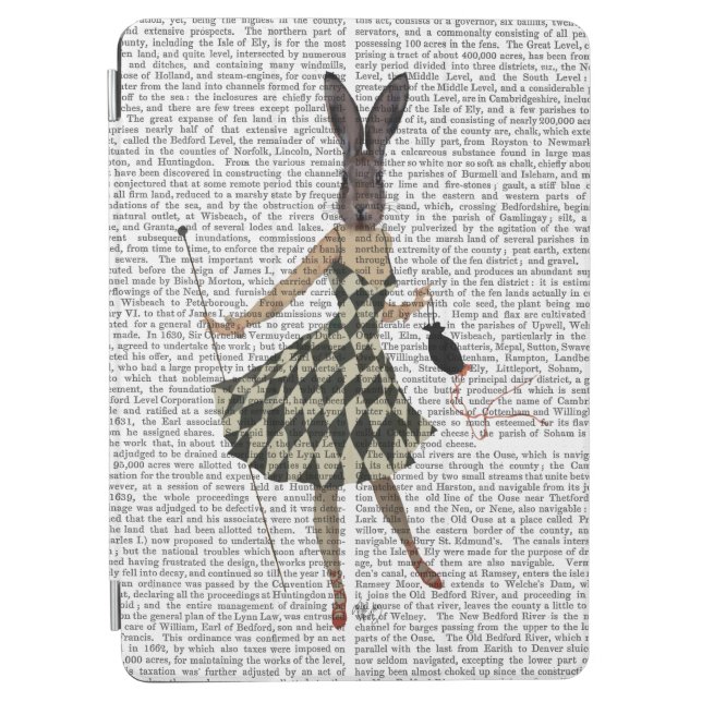 Rabbit in Black White Dress iPad Air Cover (Front)