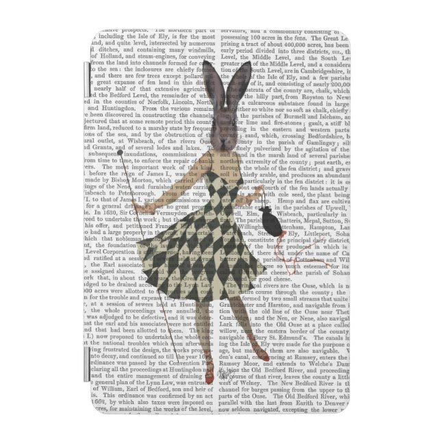 Rabbit in Black White Dress iPad Mini Cover (Front)