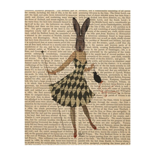Rabbit in Black White Dress Wood Wall Art (Front)
