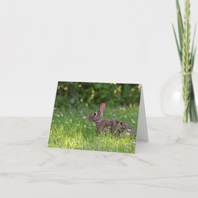 Rabbit in clover blank inside notecard.  letterpress thank you card (Front)