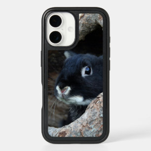Rabbit in Hollow of a Tree iPhone 16 Case