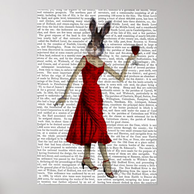 Rabbit in Red Dress Poster (Front)