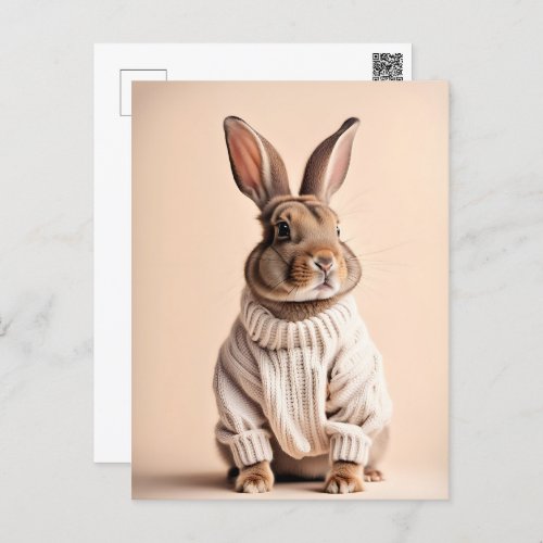Rabbit in sweater Postcrossing Postcard