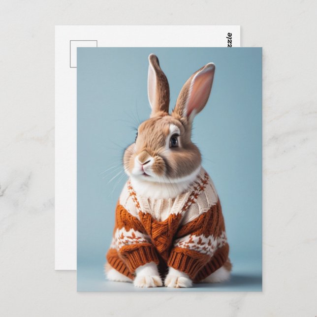 Rabbit in sweater, Postcrossing Postcard (Front/Back)