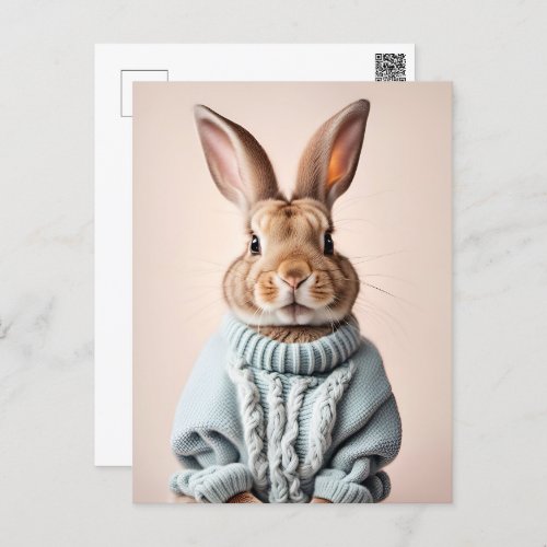 Rabbit in sweater Postcrossing Postcard