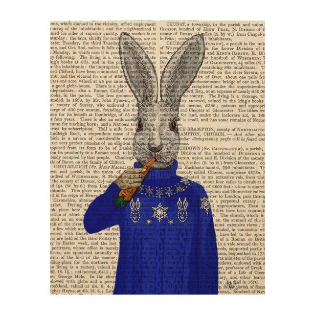 Rabbit In Sweater Wood Wall Art (Front)