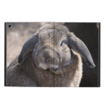 Rabbit iPad Air Case