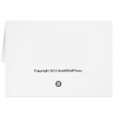 Rabbit Island, O'ahu Cards (Back Horizontal)