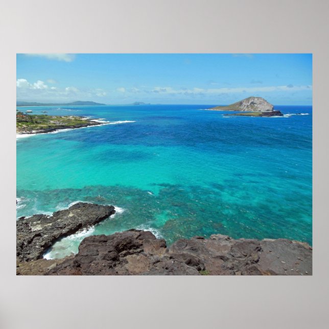 Rabbit Island Poster (Front)