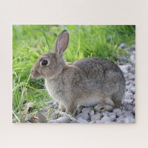 Rabbit Jigsaw Puzzle