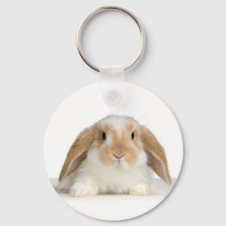rabbit keychain