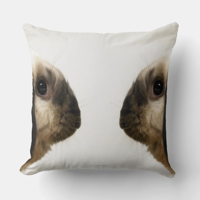 Rabbit looking at rabbit throw pillow (Front)