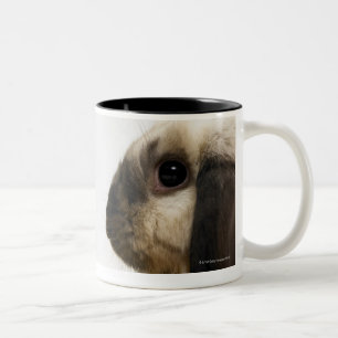 Rabbit looking at rabbit Two-Tone coffee mug