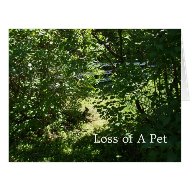 Rabbit- Loss of a Pet Cards (Front Horizontal)