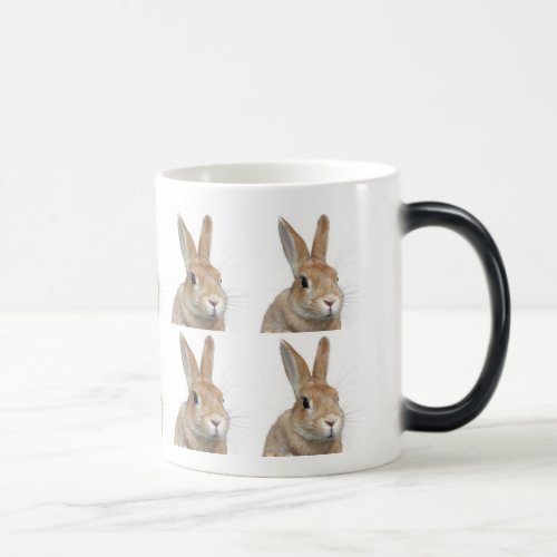 rabbit magic mug