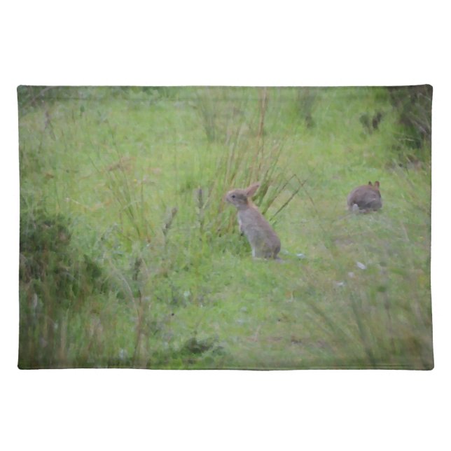 Rabbit Meadow Cloth Placemat (Front)
