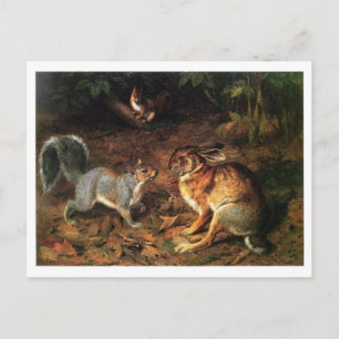 Rabbit Meet Squirrel Postcard