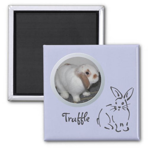 Rabbit Memory Add a Photo Magnet