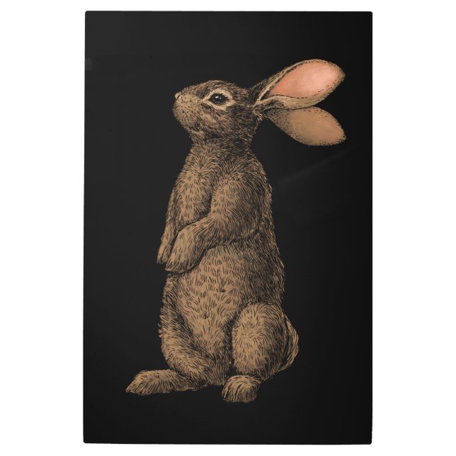 Rabbit Metal Print (Front)