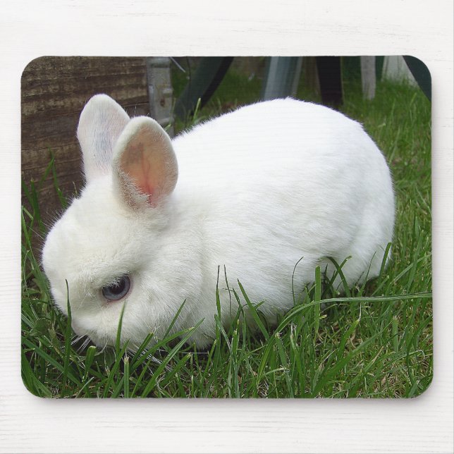 rabbit mouse pad (Front)