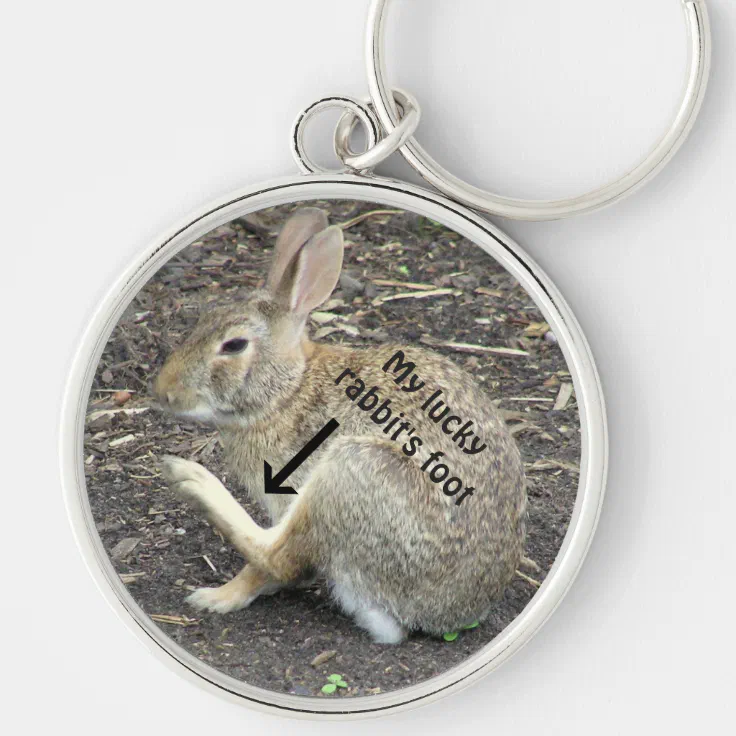 Cottontail Rabbit Bunny Heart Love Metal Keychain Key Chain Ring 