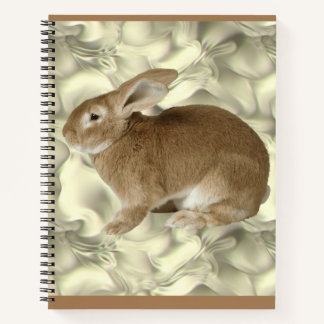 rabbit  notebook