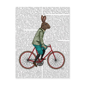 Rabbit On Bike 2 Postcard