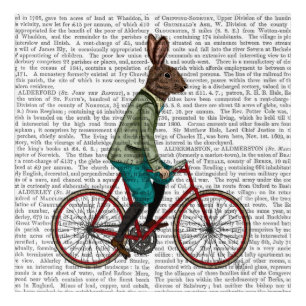 Rabbit On Bike Acrylic Print